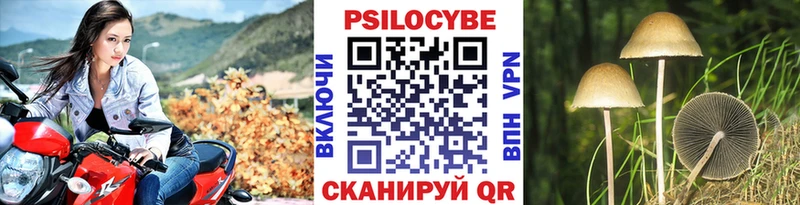 Псилоцибиновые грибы мицелий  Купить  Урюпинск 